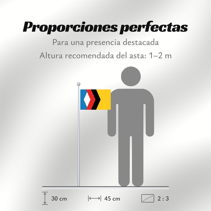 Proporciones de la bandera: Engels  Saratov oblast	Engels (Saratov oblast)	Engels (oblast de Sarátov)	Engels (óblast de Sarátov)	Engels (Saratow Oblast)	Engels (oblast' di Saratov)	Энгельс  Саратовская область