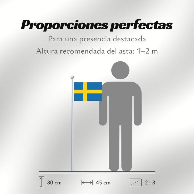 Proporciones de la bandera: Sweden	Suède	Suecia	Schweden	Svezia