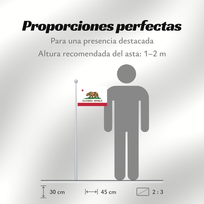 Proporciones de la bandera: California	Californie	Kalifornien	Californië	ᎠᏕᎳᏧᏢᎢ ᎦᏓᏘ	Ka hae Kaleponi	דגל מדינת קליפורניה	Californiae	Ahééháshį́į́h Hahoodzo bidah naatʼaʼí	Флаг Калифорнии	Američke savezne države Kalifornije	ⴰⵙⴻⵏⵢⴰⵍ ⵏ ⴽⴰⵍⵉⴼⵓⵕⵏⵢⴰ