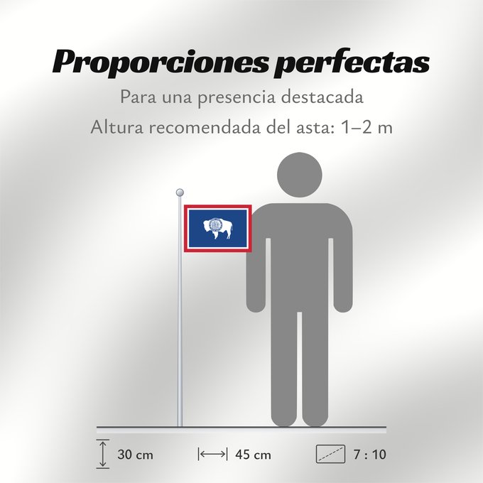 Proporciones de la bandera: Wyoming	Ka hae Waiomina	Vyominae	Wááʼóómii Hahoodzo bidah naatʼaʼí	Флаг Вайоминга	Američke savezne države Vajoming