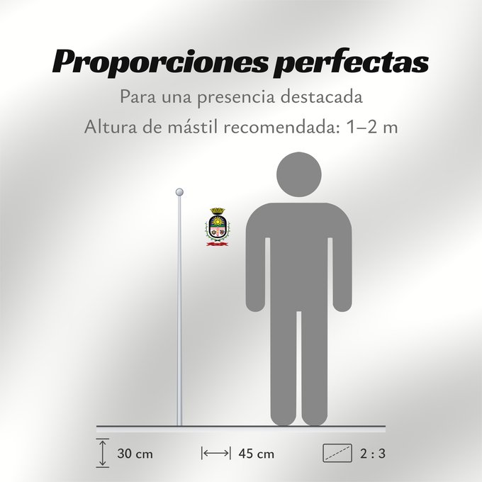 Proporciones de la bandera: Cerro Largo