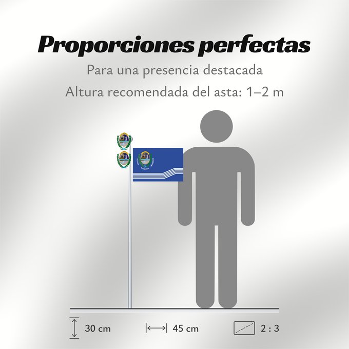 Proporciones de la bandera: Salto Department Salto Department Salto Departamento de Salto Salto (Departamento) Salto Dipartimento