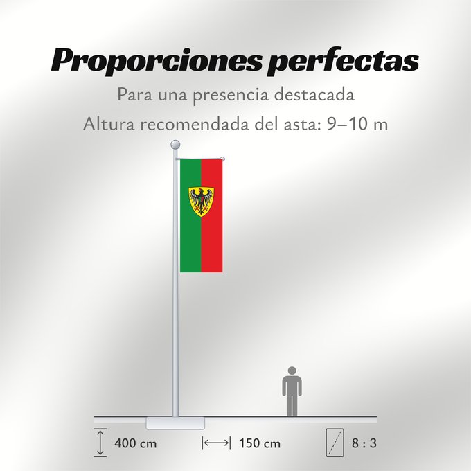 Proporciones de la bandera: Esslingen am Neckar (Region Stuttgart)