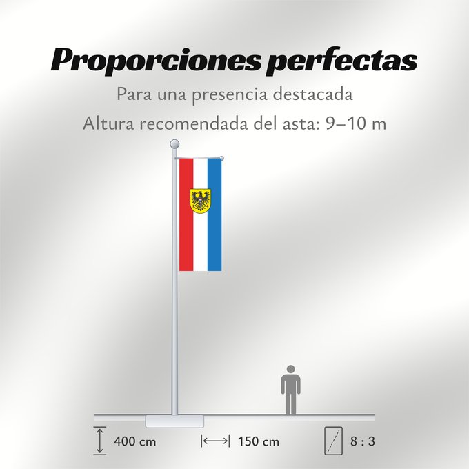Proporciones de la bandera: Heilbronn (Nördliches Baden-Württemberg)