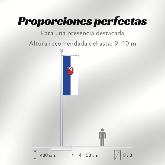 Proporciones de la bandera: Ladenburg (Nördliches Baden-Württemberg)