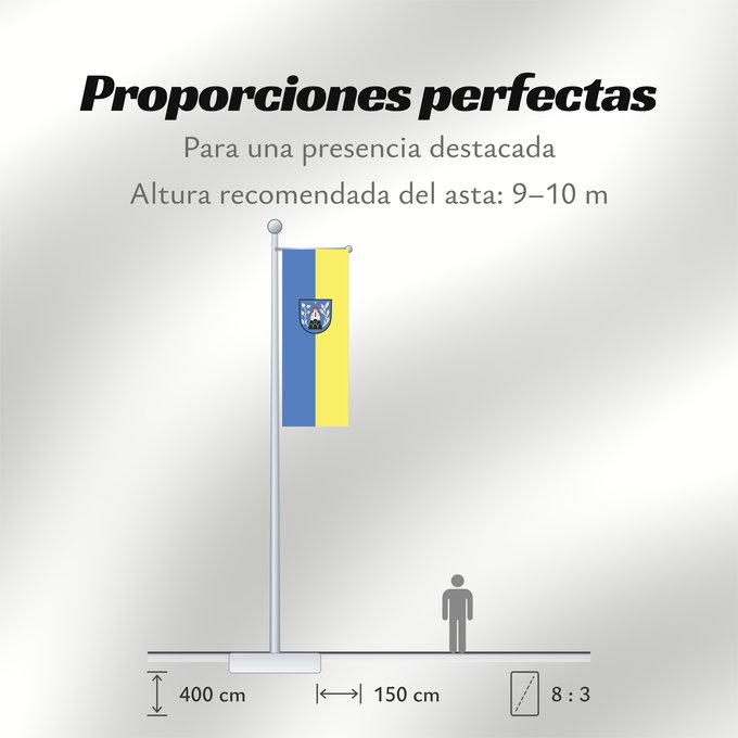 Proporciones de la bandera: Waldkirch (Südlicher Schwarzwald)