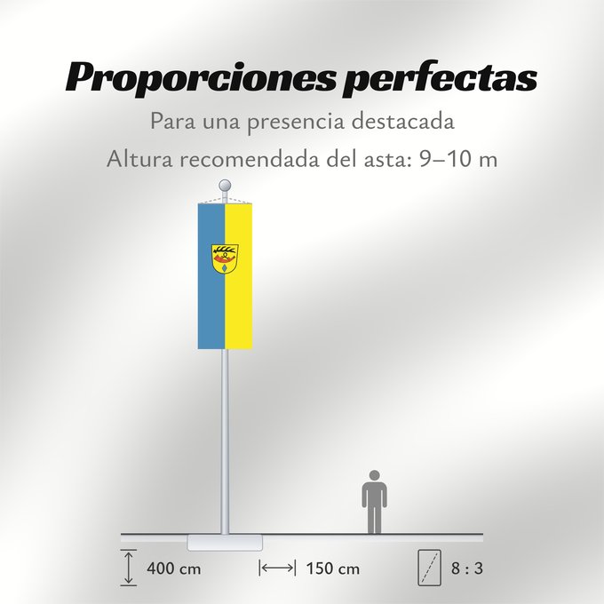 Proporciones de la bandera: Nürtingen (Region Stuttgart)