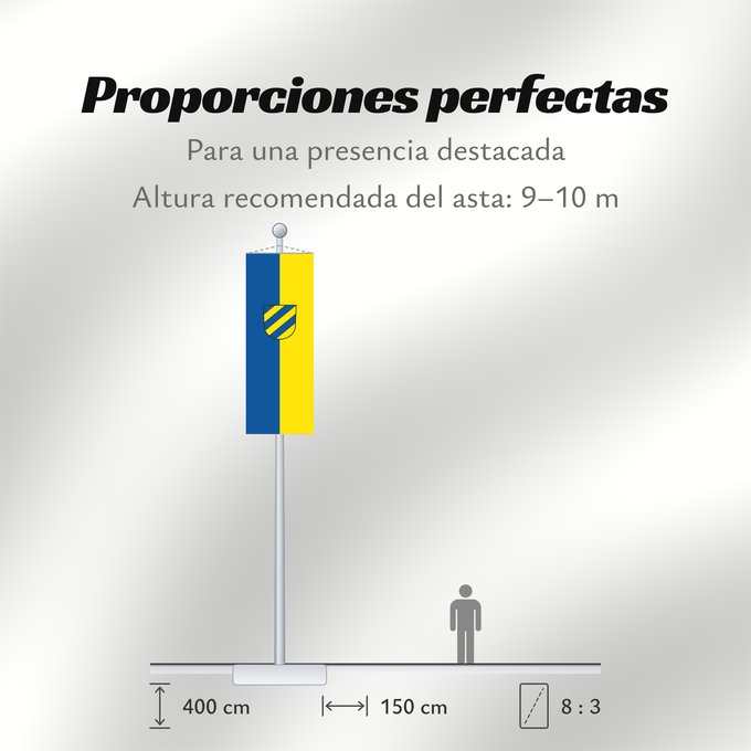 Proporciones de la bandera: Plochingen (Region Stuttgart)