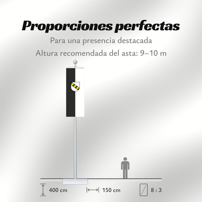 Proporciones de la bandera: Wernau (Neckar) (Region Stuttgart)
