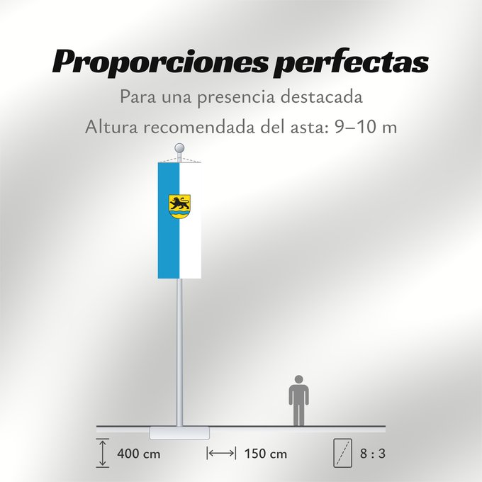 Proporciones de la bandera: Birenbach (Region Stuttgart)