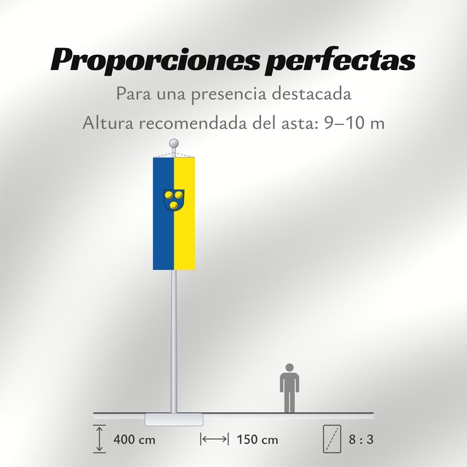 Proporciones de la bandera: Freiberg am Neckar (Region Stuttgart)