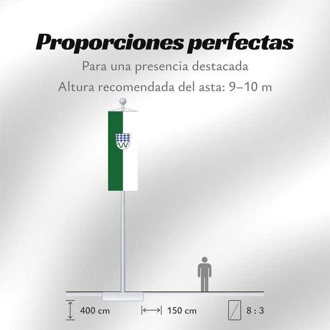 Proporciones de la bandera: Oftersheim (Nördliches Baden-Württemberg)