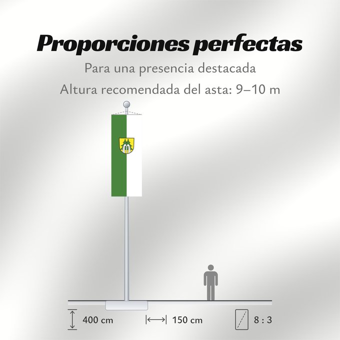 Proporciones de la bandera: Bad Wildbad (Nördlicher Schwarzwald)