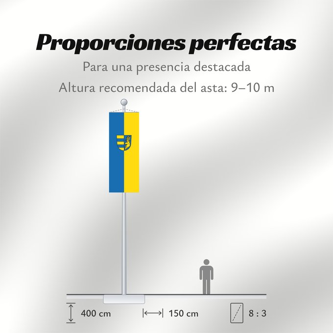 Proporciones de la bandera: Friolzheim (Nördlicher Schwarzwald)