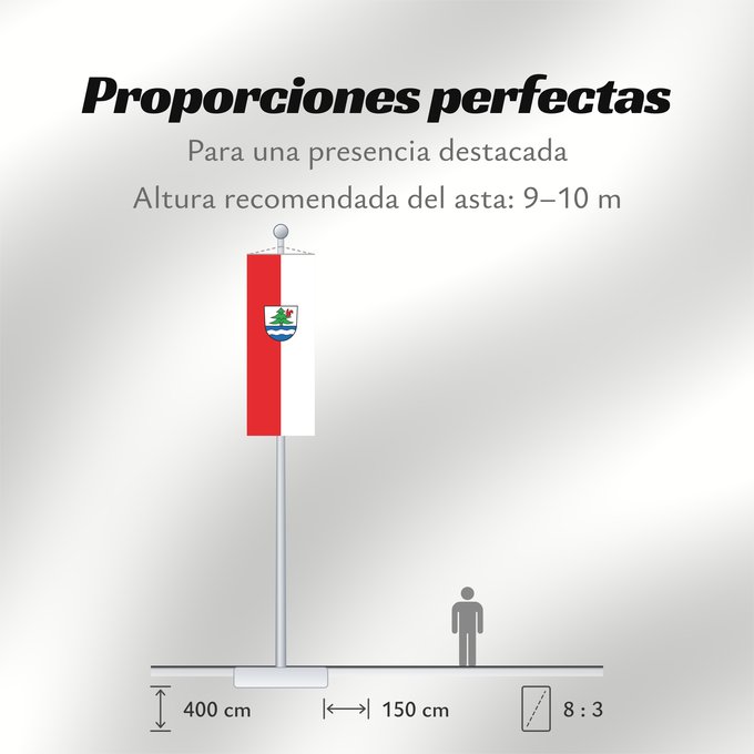 Proporciones de la bandera: Titisee-Neustadt (Südlicher Schwarzwald)
