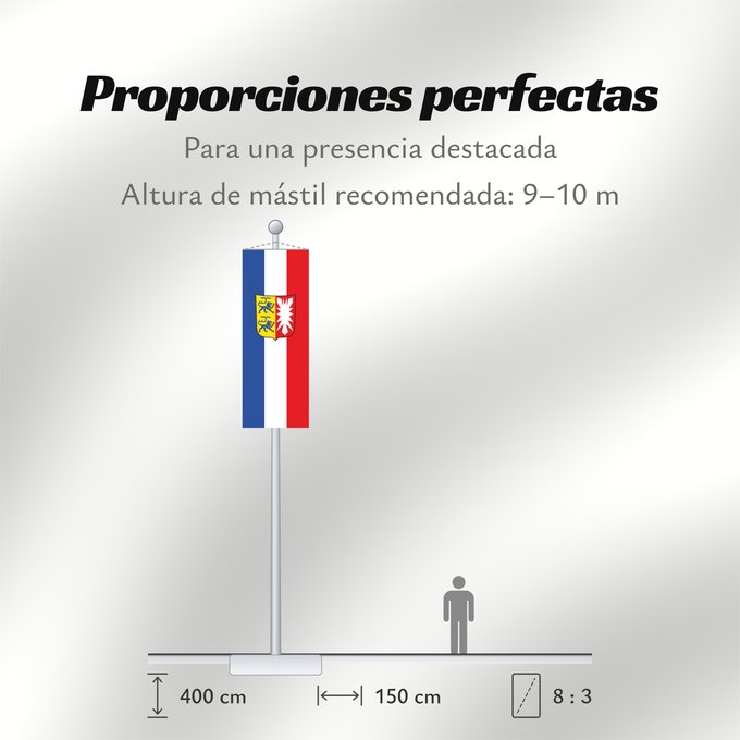 Proporciones de la bandera: Schleswig-Holstein