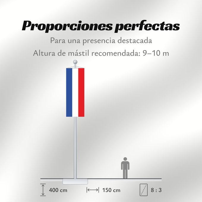 Proporciones de la bandera: Schleswig-Holstein