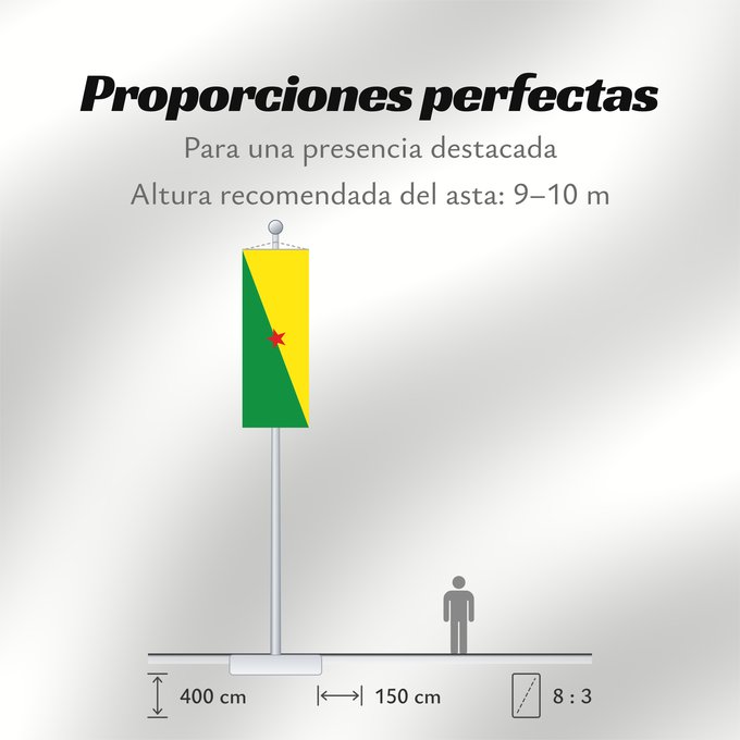 Proporciones de la bandera: French Guiana	Guyane	Guayana Francesa	Französisch-Guayana	Guyana Francese