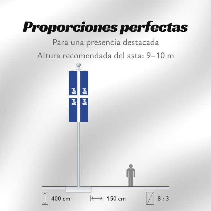 Proporciones de la bandera: Martinique	Martinica