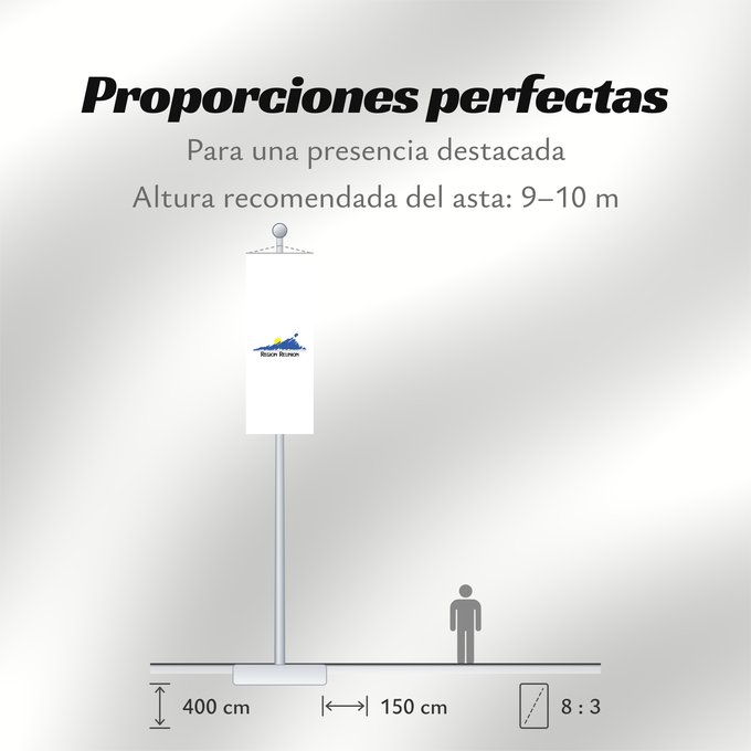 Proporciones de la bandera: Réunion
