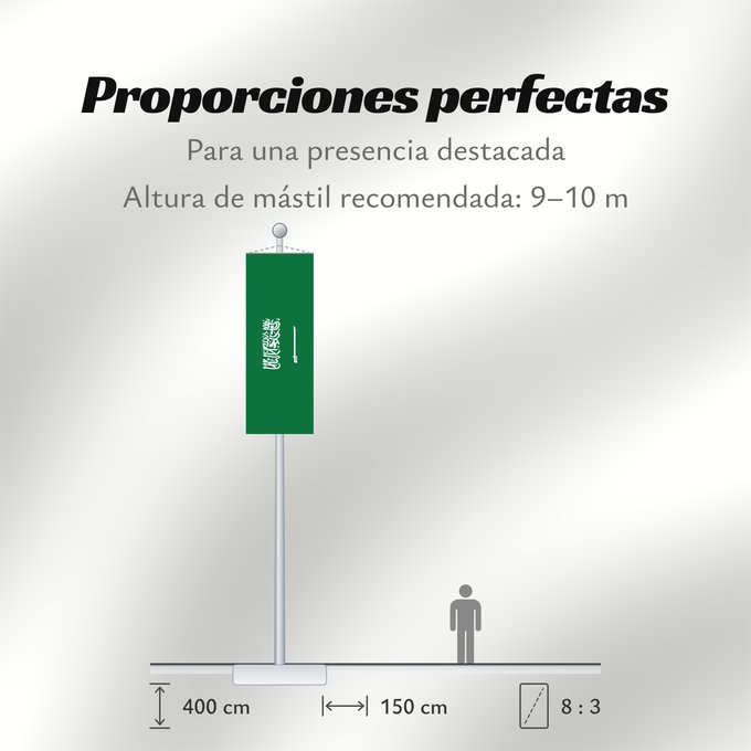 Proporciones de la bandera: Civil Ensign of Saudi Arabia obverse Saudi Arabia Arabie saoudite Arabia Saudita Saudi-Arabien