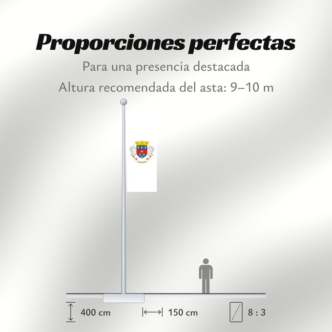 Proporciones de la bandera: Saint Barthélemy