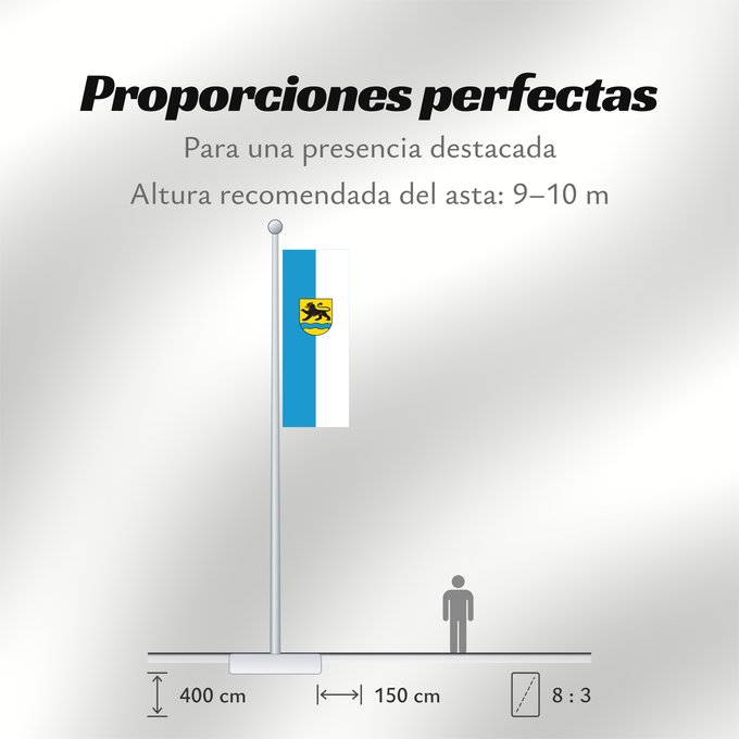 Proporciones de la bandera: Birenbach (Region Stuttgart)