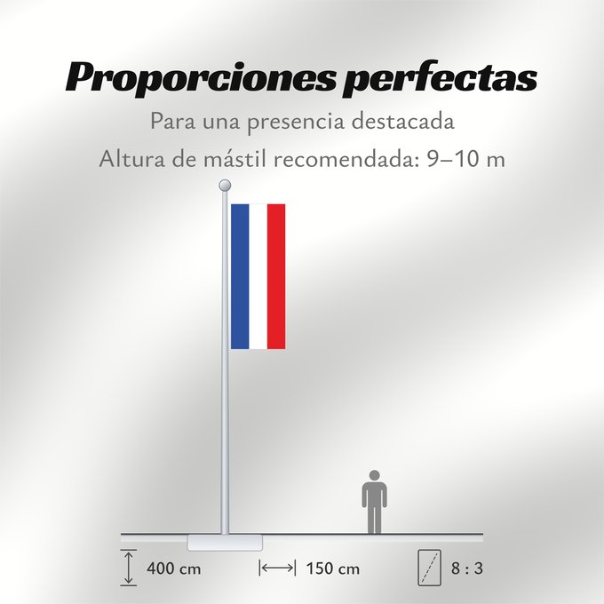 Proporciones de la bandera: Schleswig-Holstein