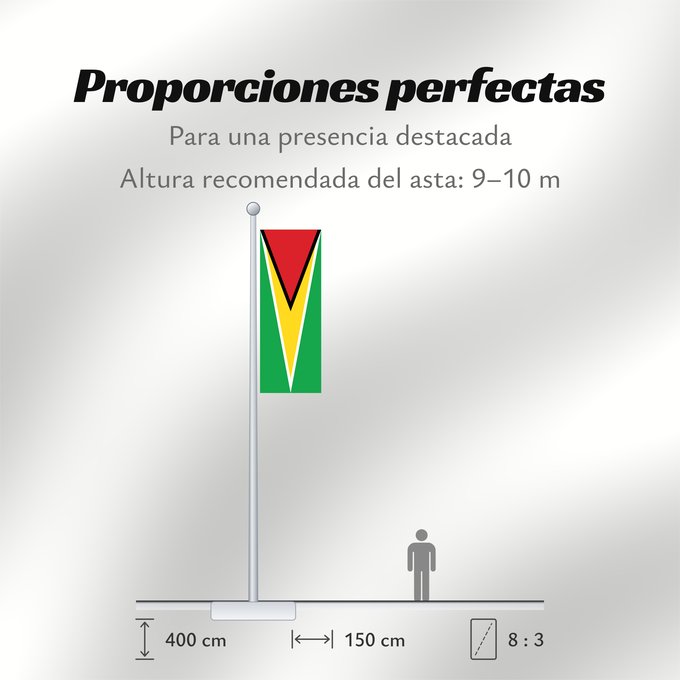 Proporciones de la bandera: Guyana Guiana Wayana wiphala Gujano Gwayana Wayana unancha Флаг Гайаны Guyanas Quốc kỳ Guyana