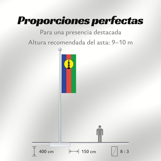 Proporciones de la bandera: FLNKS	Kanak and Socialist National Liberation Front political party	Front de libération nationale kanak et socialiste	Colores Pantone http //www	Neukaledonien	Nuova Caledonia	Front d Alliberament Nacional Canac Socialista