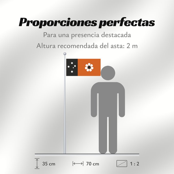 Proporciones de la bandera: Northern Territory	Northern Territory  adopted on July 1, 1978 on the first day of self-government  was designed by the Australian artist Robert Ingpen	Territoire du Nord	Territorio del Norte