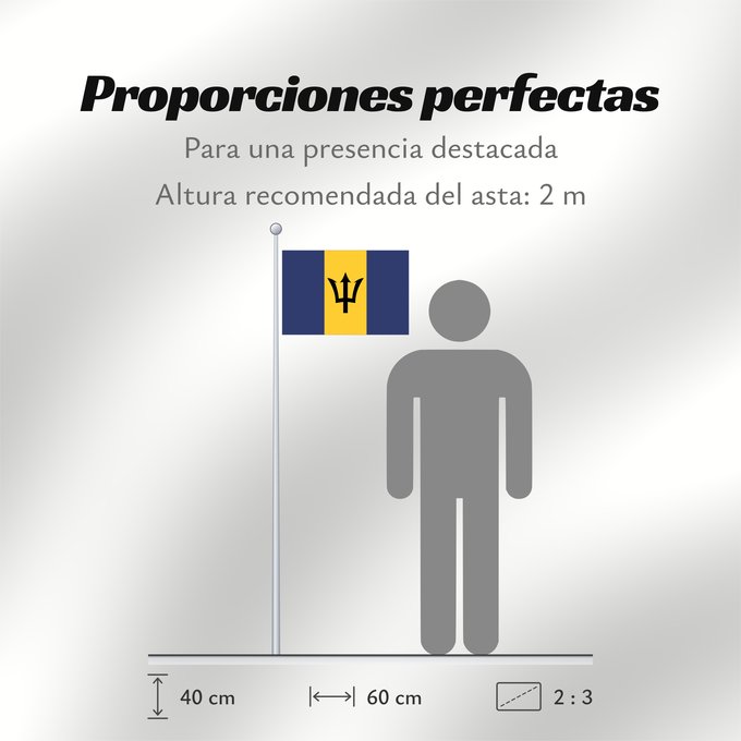 Proporciones de la bandera: Barbados	Barbade	Barbado	Barbadoksen	Ala Barbadosê	Флаг Барбадоса	Barbadosa