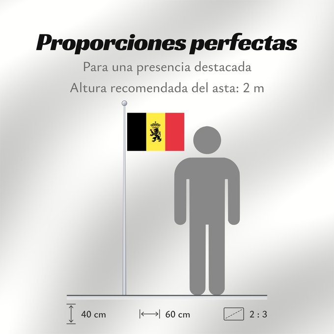Proporciones de la bandera: Belgium  civil	Belgium	Belgique	Bélgica	Belgien	Belgio