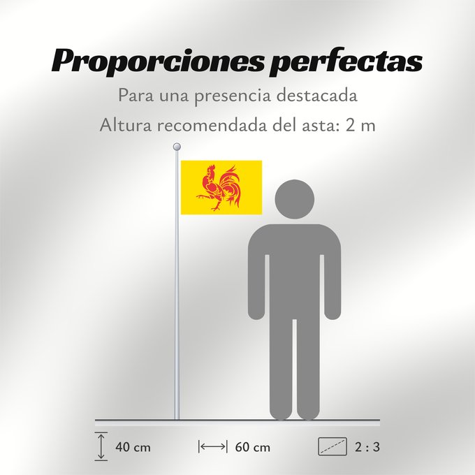 Proporciones de la bandera: Wallonia Wallonia (Walloon Region) Wallonie Walloon region Wallonien Regione vallona Wallonië Banniel Wallonia پرچم والونی Прапор Валлонії Drapea walon