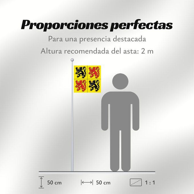 Proporciones de la bandera: Hainaut	Hainaut, province de la Belgique	Henao	Hennegaus, belgische Provinz	Henegouwen, provincie van België