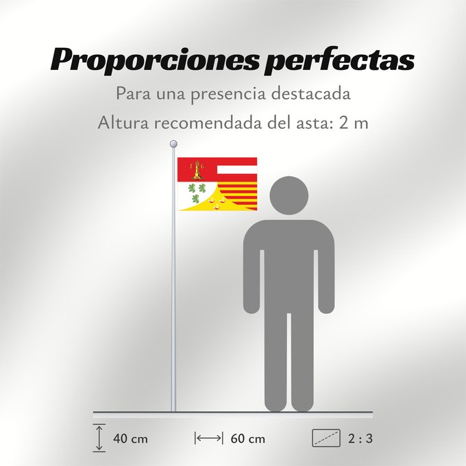 Proporciones de la bandera: Liège (fr)