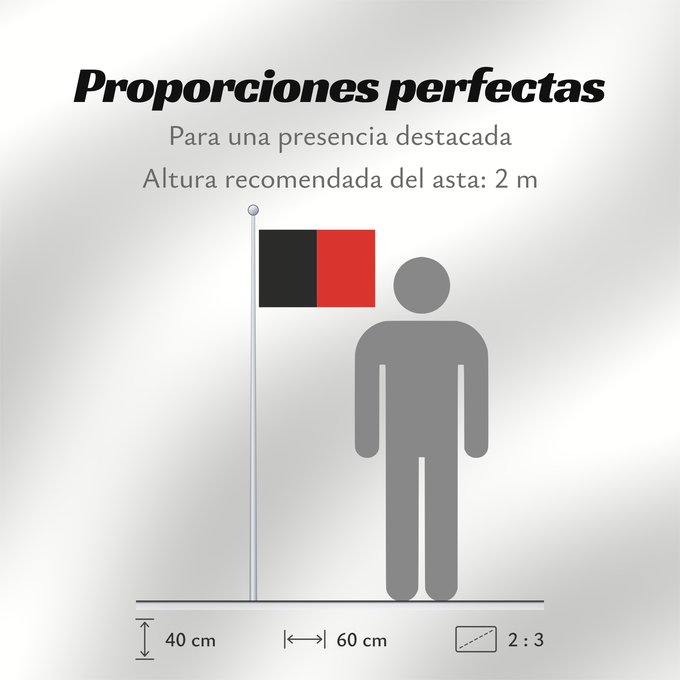 Proporciones de la bandera: Namur Province	Namur	Shows the flag of the province of Namur in Belgium