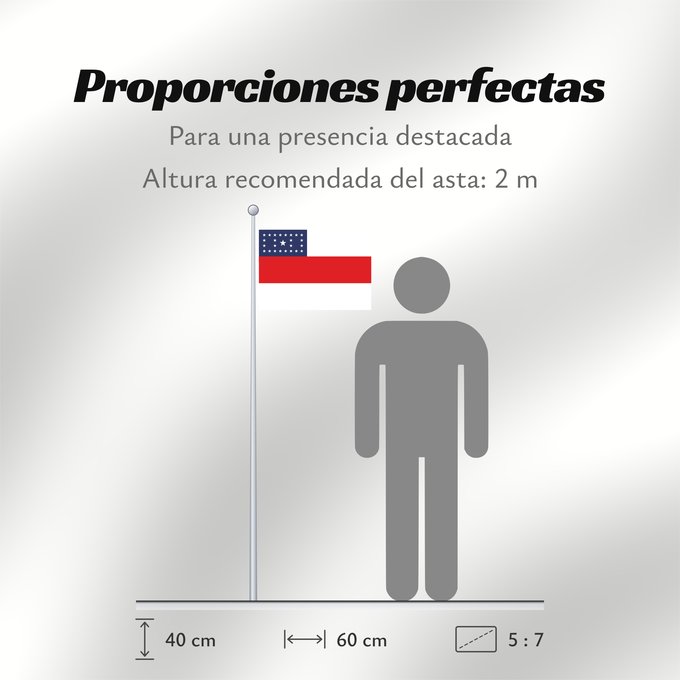 Proporciones de la bandera: Amazonas	Amazonas, state of Brazil	L’Amazonas, état du Brésil	Amazonas, Brasil	Amazonas, stato del Brasile	Estado do Amazonas, Brasil	علم أمازوناس، دولة البرازيل	Σημαία της Αμαζόνας	پرچم آمازوناس دولت برزیل	דגל אמסונס, מדינת ברזיל	अमेज़न	Banyè fanmi Amazo