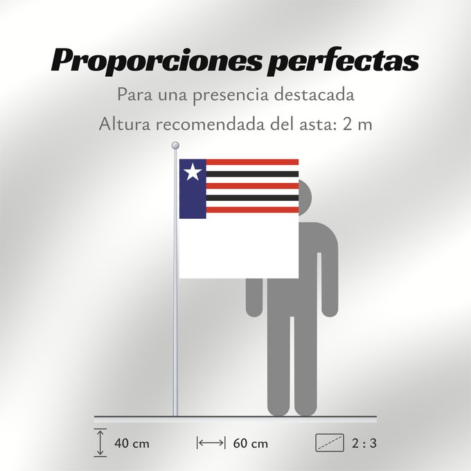 Proporciones de la bandera: Maranhão