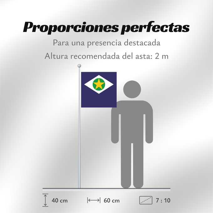 Proporciones de la bandera: Mato Grosso	State of Mato Grosso, Brazil	Mato Grueso	Mato Grosso, Brasil