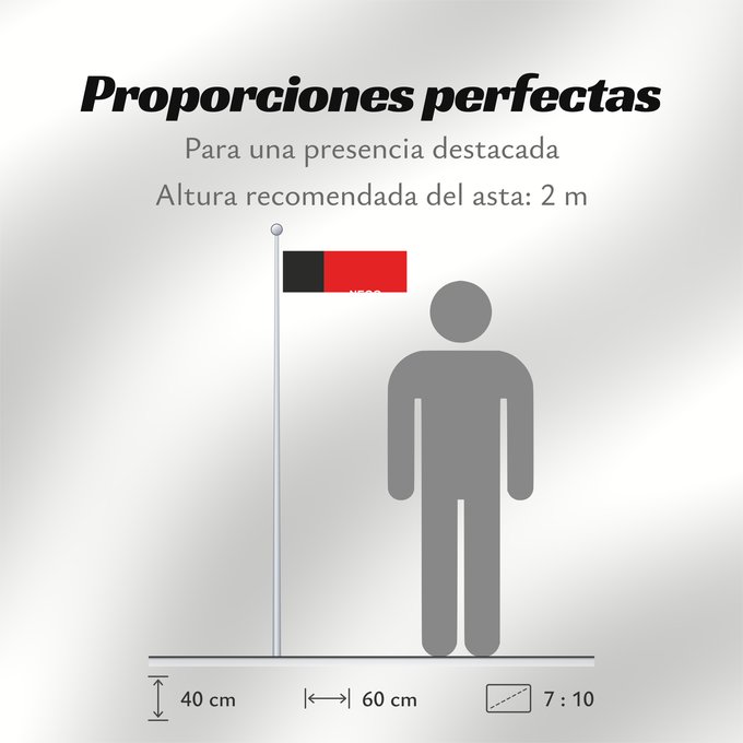 Proporciones de la bandera: Paraíba