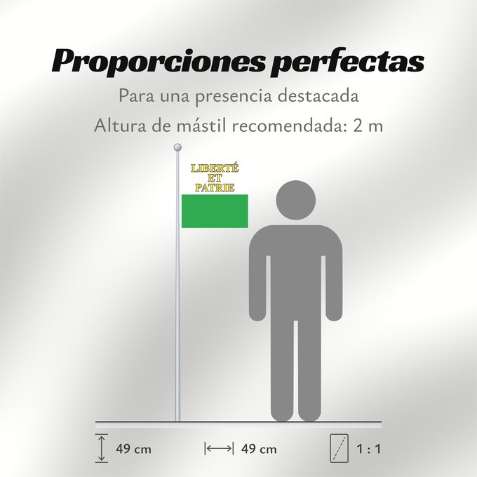 Proporciones de la bandera: Canton of Vaud	Vaud	canton de Vaud	República y cantón de Vaud	Vaud 