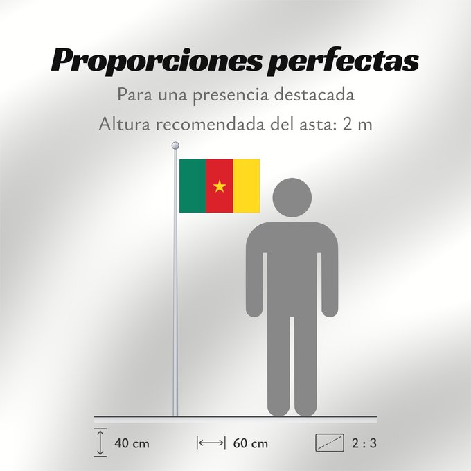 Proporciones de la bandera: Cameroon Cameroun Camerún Kamerun Camerun ক্যামেরুনের পতাকা। Kamerunu Kameruno پرچم کامرون Fändel vum Kamerun Знаме на Камерун Camerunului Kameruna Kameruns