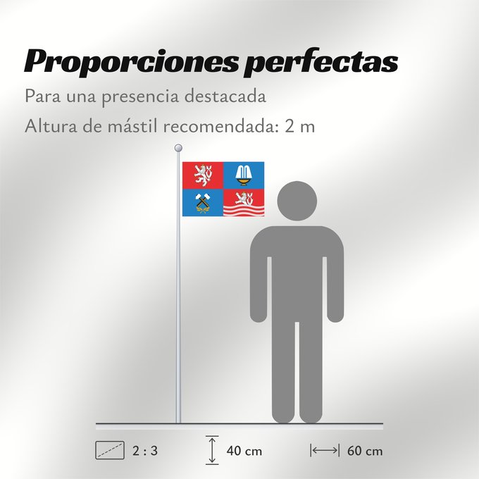 Proporciones de la bandera: Karlovy Vary Region	Région de Karlovy Vary	Región de Karlovy Vary	Region Karlovy Vary	Regione di Karlovy Vary
