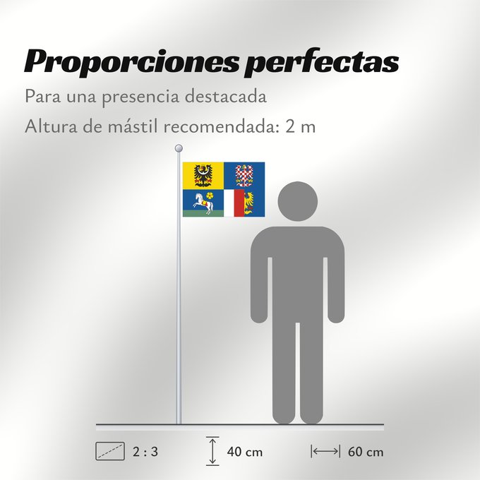 Proporciones de la bandera: Moravian-Silesian Region	Région de Moravie-Silésie	Región de Moravia-Silesia	Moravian-Silesian	Moravskoslezského kraje čtvrcený list v horním žerďovém žlutém poli slezská orlice v dolním žerďovém modrém poli na zeleném trávníku