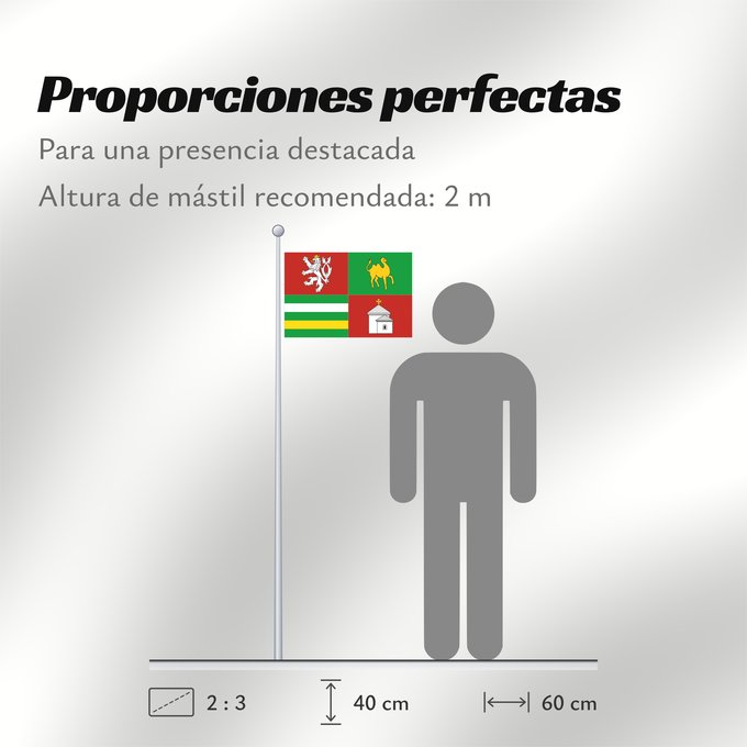 Proporciones de la bandera: Plzen Region	Plzeň Region	Région de Plzeň	Región de Pilsen	„Region Pilsen
