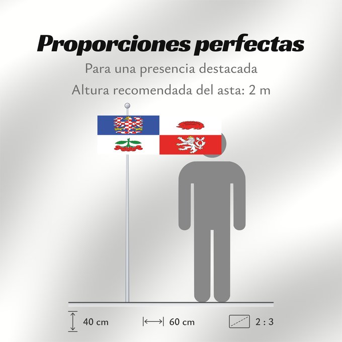 Proporciones de la bandera: Vysocina Region	Vysočina Region	Région de Vysočina	Región de Vysočina	Region Vysočina