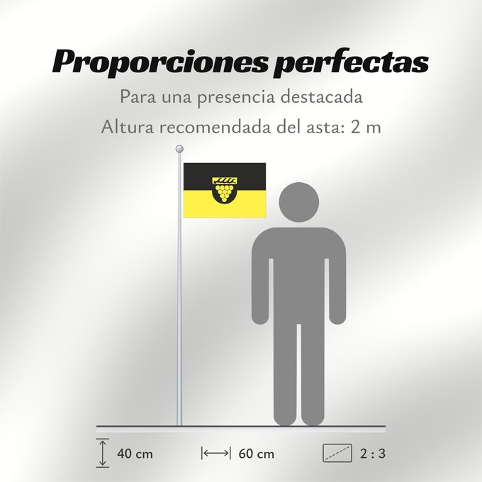 Proporciones de la bandera: Weinstadt (Region Stuttgart)