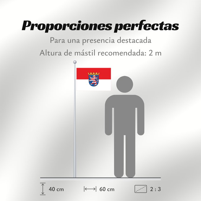 Proporciones de la bandera: Hesse Hessen Assia