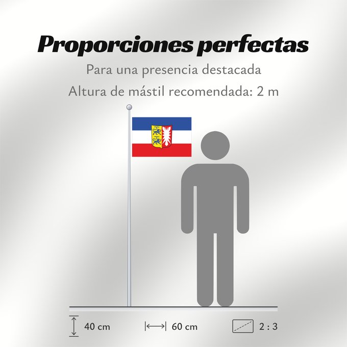 Proporciones de la bandera: Schleswig-Holstein